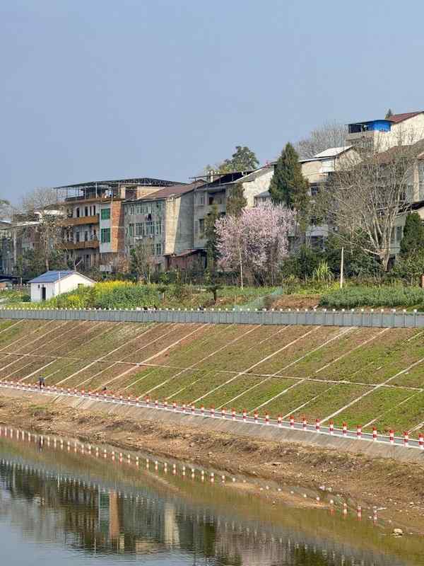 大家族里过年,一位年轻人的“两宗罪”|记者过年_0227222816 新闻 大家族里过年,一位年轻人的“两宗罪”|记者过年_0227222816 新闻