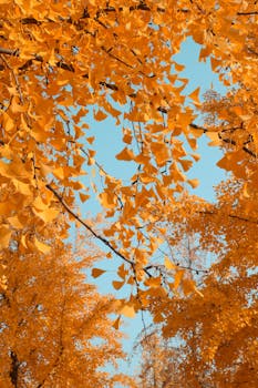 北京天宜上佳高新材料股份有限公司2025年度业绩快报公告 新闻