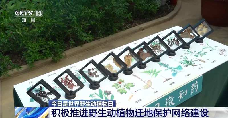  野生动植物保护成效显著；种群复苏故事频现；生态体系持续优化。 文化旅游