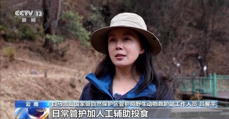  野生动植物保护成效显著；种群复苏故事频现；生态体系持续优化。 文化旅游