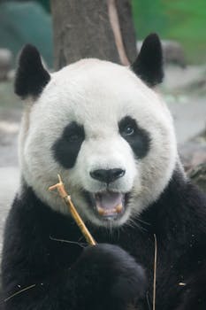  消费者权益保护，不能止于一天；需贯穿全年每一天。 新闻 消费者权益保护，不能止于一天；需贯穿全年每一天。 新闻 消费者权益保护，不能止于一天；需贯穿全年每一天。 新闻