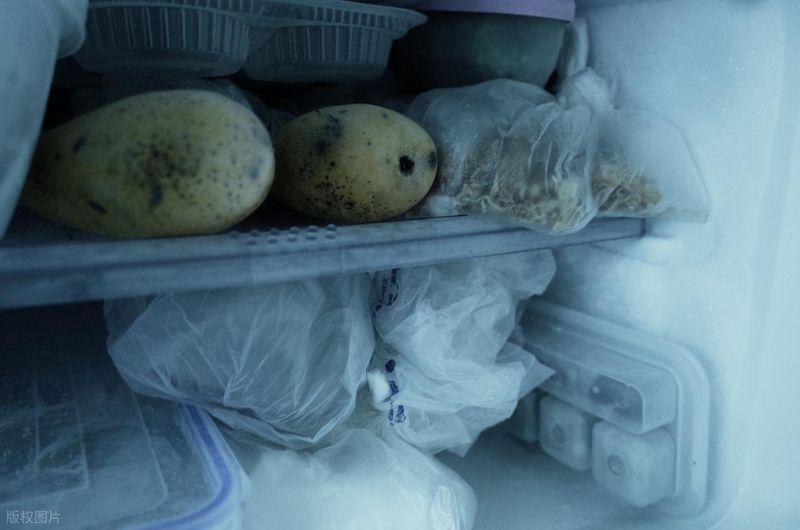 冰箱里的“隐形杀手”:一份被忽视的家庭生存指南 健康养生