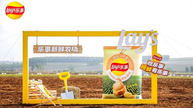 从生死时速到海外版图:一家钢构巨头如何借力金融突围全球化迷局? 新闻