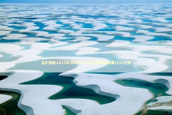 五矿新能2025年净利润228亿正极材料销量1155万吨 五矿新能2025年净利润228亿正极材料销量1155万吨 新闻