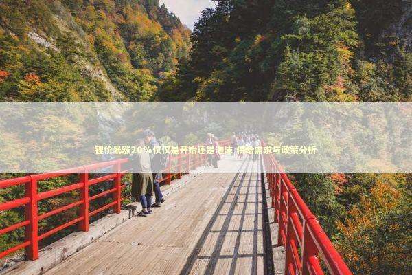 锂价暴涨20%仅仅是开始还是泡沫 供给需求与政策分析 新闻