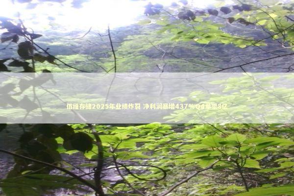 佰维存储2025年业绩炸裂 净利润暴增437%Q4单季8亿