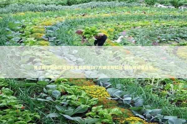 男子同学聚会饮酒猝死家属索赔187万被法院驳回-网友对结果点赞 新闻