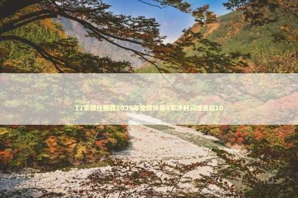 12家银行披露2025年业绩快报4家净利润增速超10 新闻