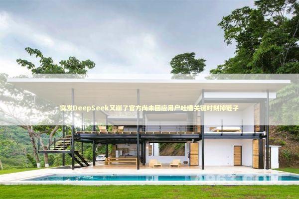 突发DeepSeek又崩了官方尚未回应用户吐槽关键时刻掉链子 新闻