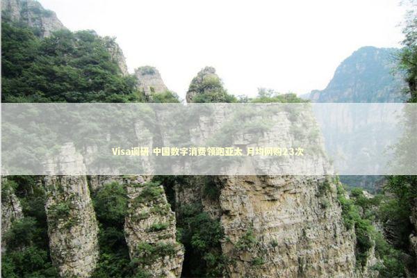 Visa调研 中国数字消费领跑亚太 月均网购23次 新闻