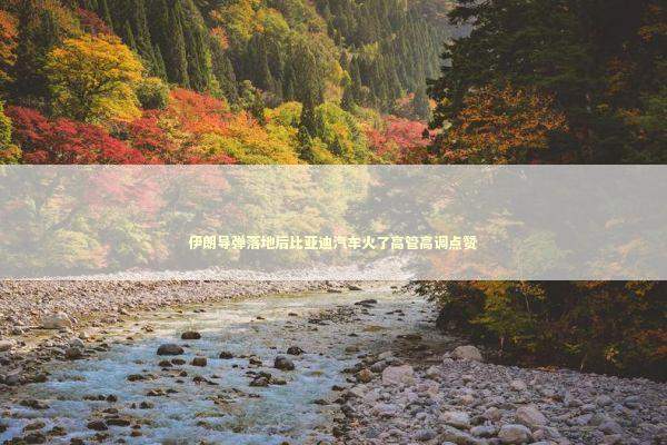 伊朗导弹落地后比亚迪汽车火了高管高调点赞 新闻