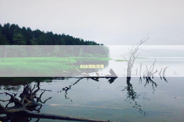 科技保险政策 新闻