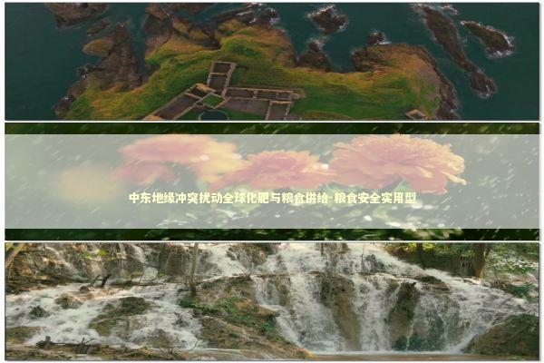 中东地缘冲突扰动全球化肥与粮食供给-粮食安全实用型 新闻