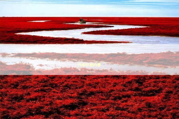 汽车行业内卷 新闻