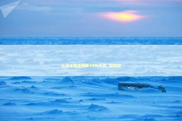 比亚迪销量跌破20万大关_趣味型 新闻