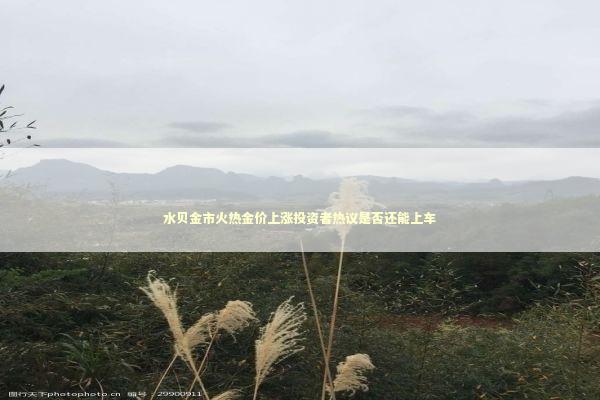 水贝金市火热金价上涨投资者热议是否还能上车 水贝金市火热金价上涨投资者热议是否还能上车 新闻