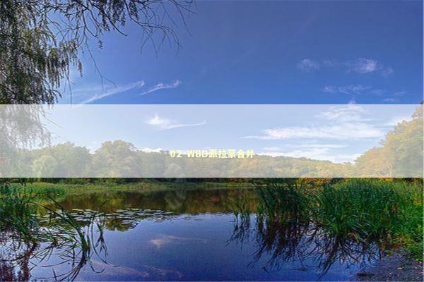 02-WBD派拉蒙合并 新闻