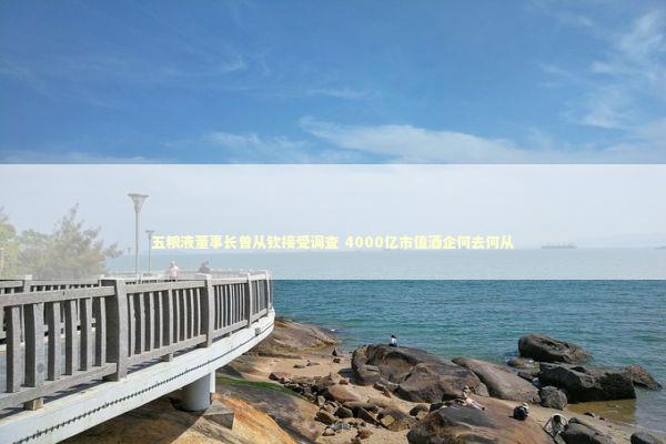 五粮液董事长曾从钦接受调查 4000亿市值酒企何去何从 新闻