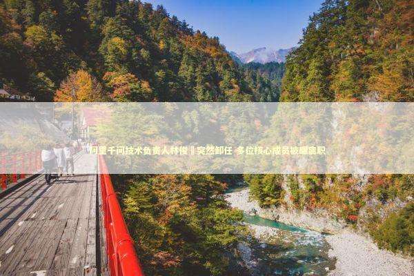 阿里千问技术负责人林俊旸突然卸任 多位核心成员被曝离职