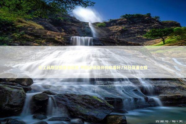 化工品期货股集体飙涨 甲醇连续涨停机构看好7只社保重仓股 新闻