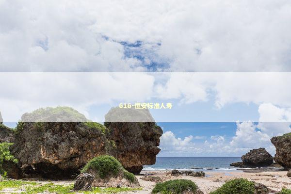 616-恒安标准人寿 新闻