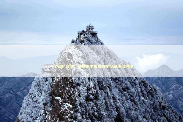 一个词的改变：从责任主体看数字空间法治进程 新闻