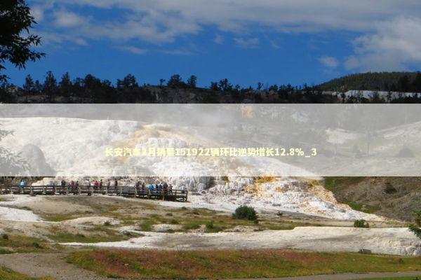 长安汽车2月销量151922辆环比逆势增长12.8%_3 新闻