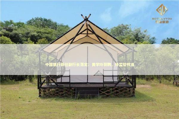 中国银行新任副行长落定：黄学玲获聘，待监管核准 新闻