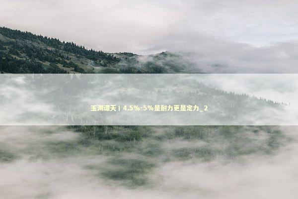 玉渊谭天丨4.5%-5%是耐力更是定力_2 新闻