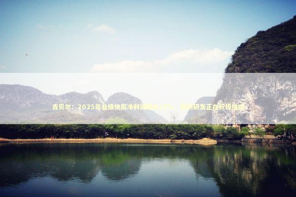 吉贝尔：2025年业绩快报净利润增长18%，新药研发正在积极推进 新闻