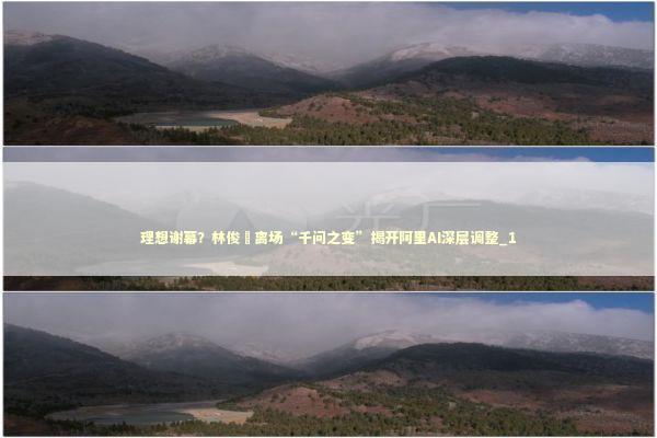 理想谢幕？林俊旸离场“千问之变”揭开阿里AI深层调整_1