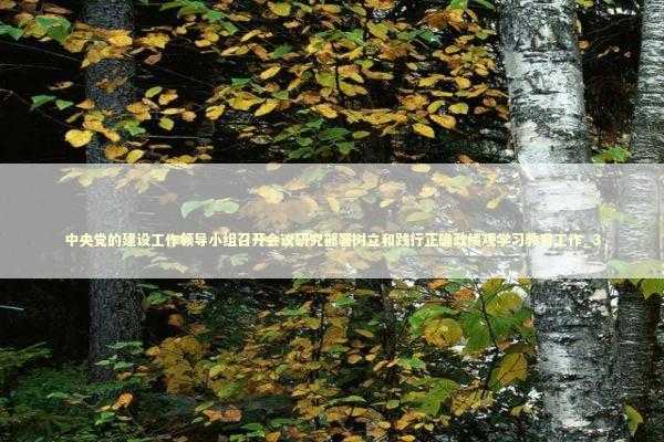 中央党的建设工作领导小组召开会议研究部署树立和践行正确政绩观学习教育工作_3 新闻