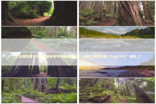 工业富联再次入选标普全球可持续发展年鉴，并首次获评行业“Top10%”表彰_1 新闻