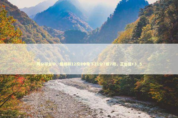 两分球全中，詹姆斯12投8中拿下21分7板7助，正负值+3_5 新闻