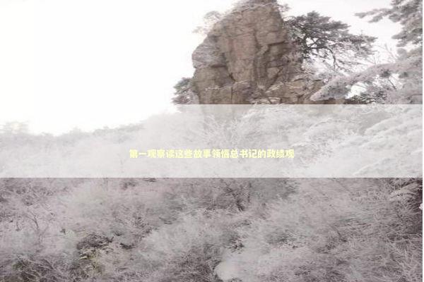 第一观察读这些故事领悟总书记的政绩观 新闻