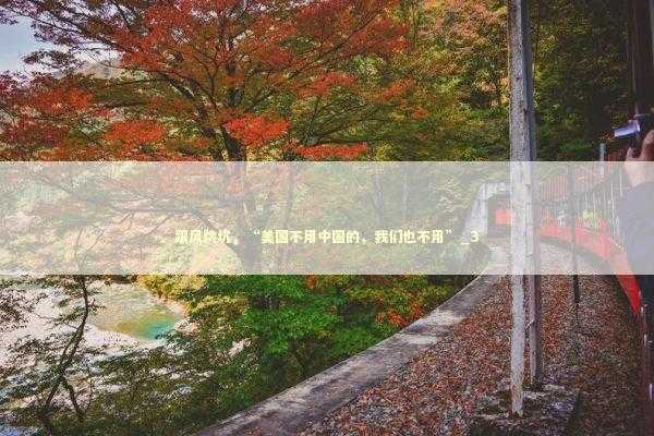 跟风跳坑，“美国不用中国的，我们也不用”_3 新闻