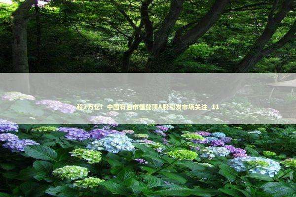 超2万亿！中国石油市值登顶A股引发市场关注_11