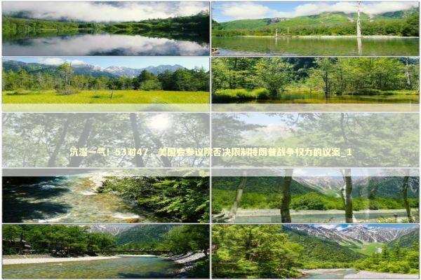 沆瀣一气！53对47，美国会参议院否决限制特朗普战争权力的议案_1 新闻