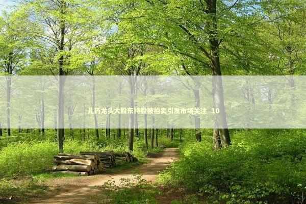 儿药龙头大股东持股被拍卖引发市场关注_10 儿药龙头大股东持股被拍卖引发市场关注_10 新闻