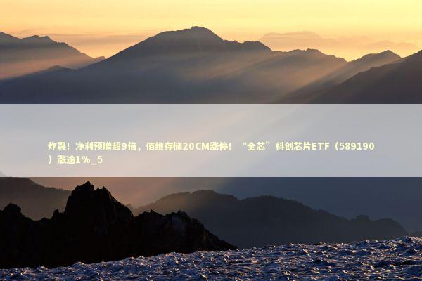 炸裂！净利预增超9倍，佰维存储20CM涨停！“全芯”科创芯片ETF（589190）涨逾1%_5 新闻