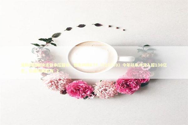 港股科技板块连日承压回调，恒生科技ETF（513130）今年以来净流入超130亿元，位居同类前列_2