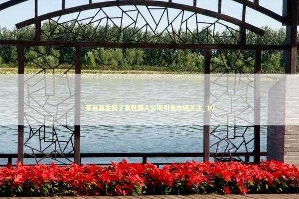 茅台基金投了家机器人公司引发市场关注_10 新闻