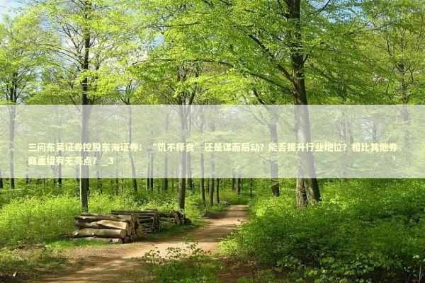 三问东吴证券控股东海证券:“饥不择食”还是谋而后动?能否提升行业地位?相比其他券商重组有无亮点?_3 三问东吴证券控股东海证券:“饥不择食”还是谋而后动?能否提升行业地位?相比其他券商重组有无亮点?_3 新闻