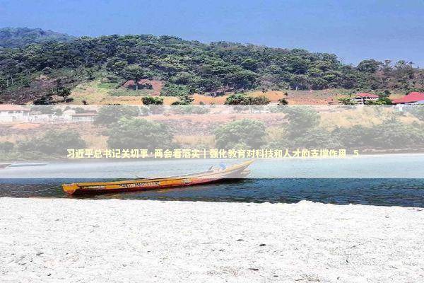 习近平总书记关切事·两会看落实｜强化教育对科技和人才的支撑作用_5 新闻