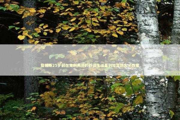 詹姆斯25岁前在克利夫兰的舒适生活直到加盟热火才改变