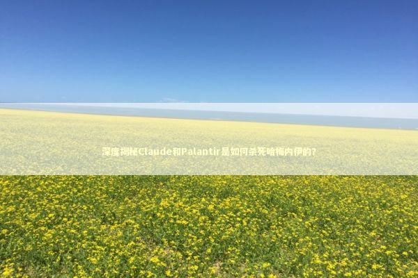 深度揭秘Claude和Palantir是如何杀死哈梅内伊的？