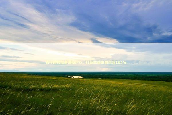 银行理财掘金港股IPO，打新收益率最高超165% 新闻