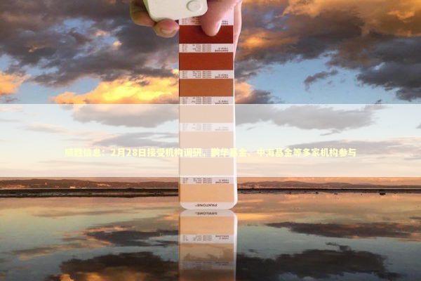 威胜信息：2月28日接受机构调研，鹏华基金、中海基金等多家机构参与 新闻
